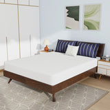 Nasturtium 8" Queen Bamboo Charcoal Infused Memory Foam