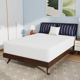 Nasturtium 12" Full Bamboo Charcoal Infused Memory Foam