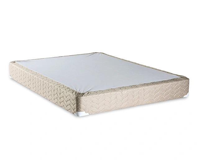 Lilium White/Brown Foundation