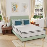Catmint Mattress