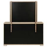Ladera Dresser with Mirror