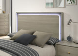 Rainier Queen Bedroom Set Gray