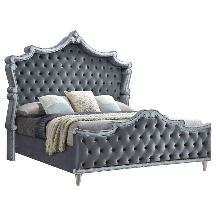 Antonella Upholstered Eastern King Panel Bed Grey