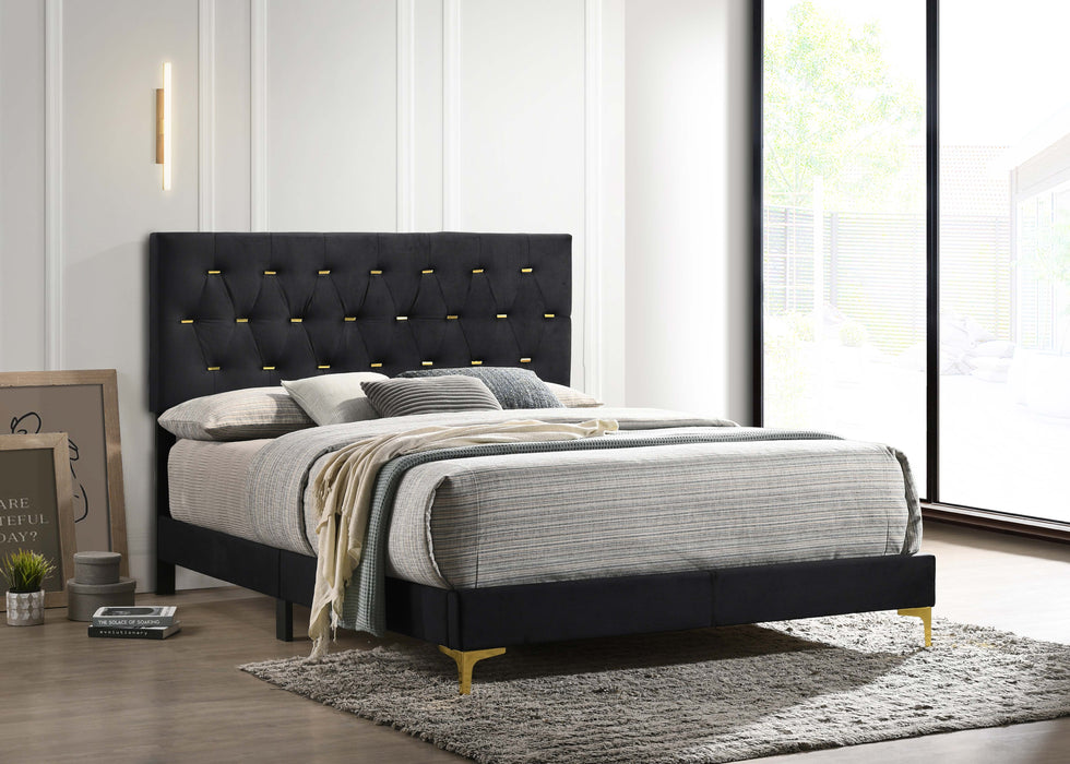 Kendall Upholstered Queen Panel Bed Black