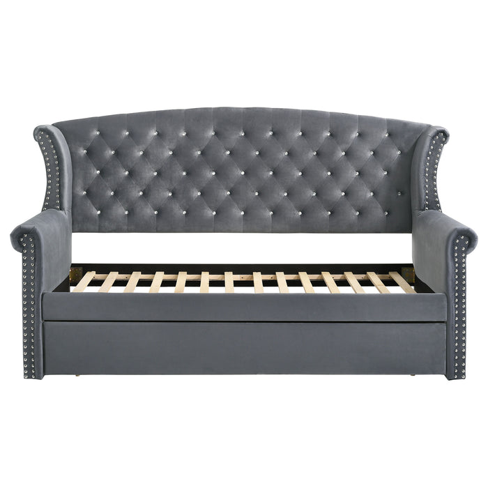 Scarlett Upholstered Twin Daybed with Trundle Grey